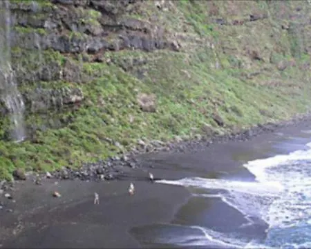 Feriehus Casa Deco, La Galga, La Palma